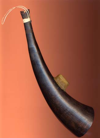 Buffalo Horns and Frog Calls: Some Ancient Free Reed Instruments from Southeast Asia