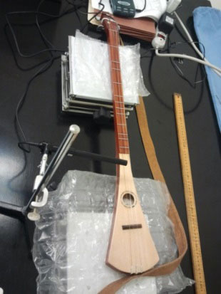 Physics of Stringed Instruments