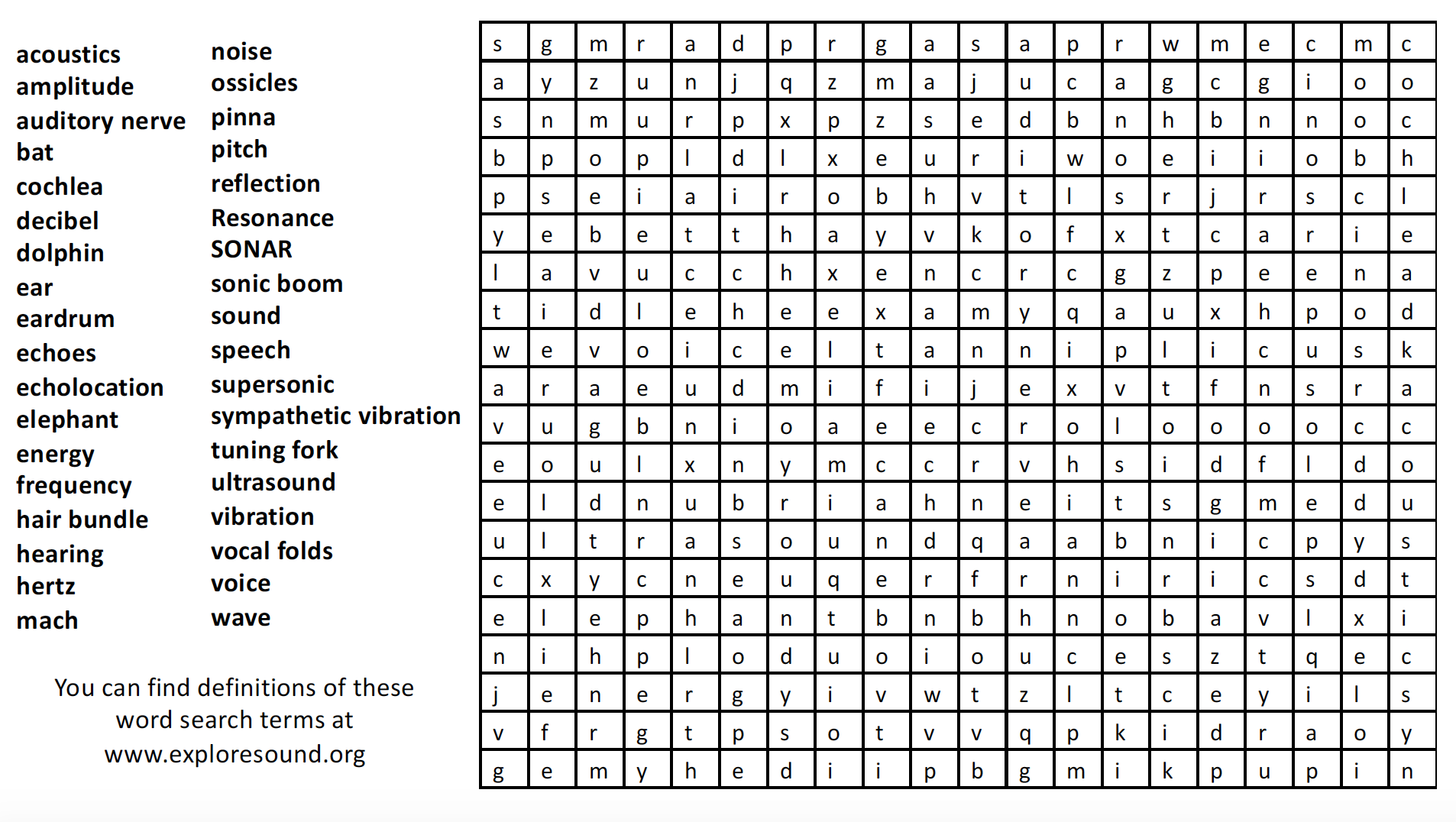 acoustics word search