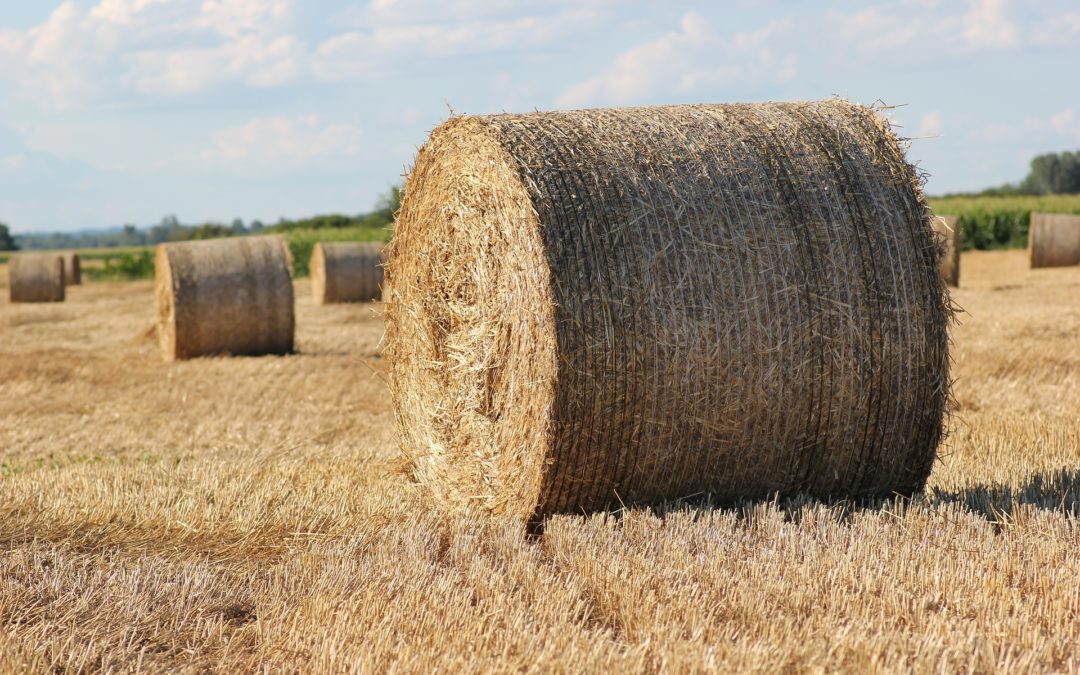 Acoustical Characterization of Straw Bales as Structural Elements